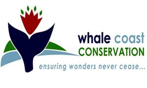 Membership and Investors in the Environment